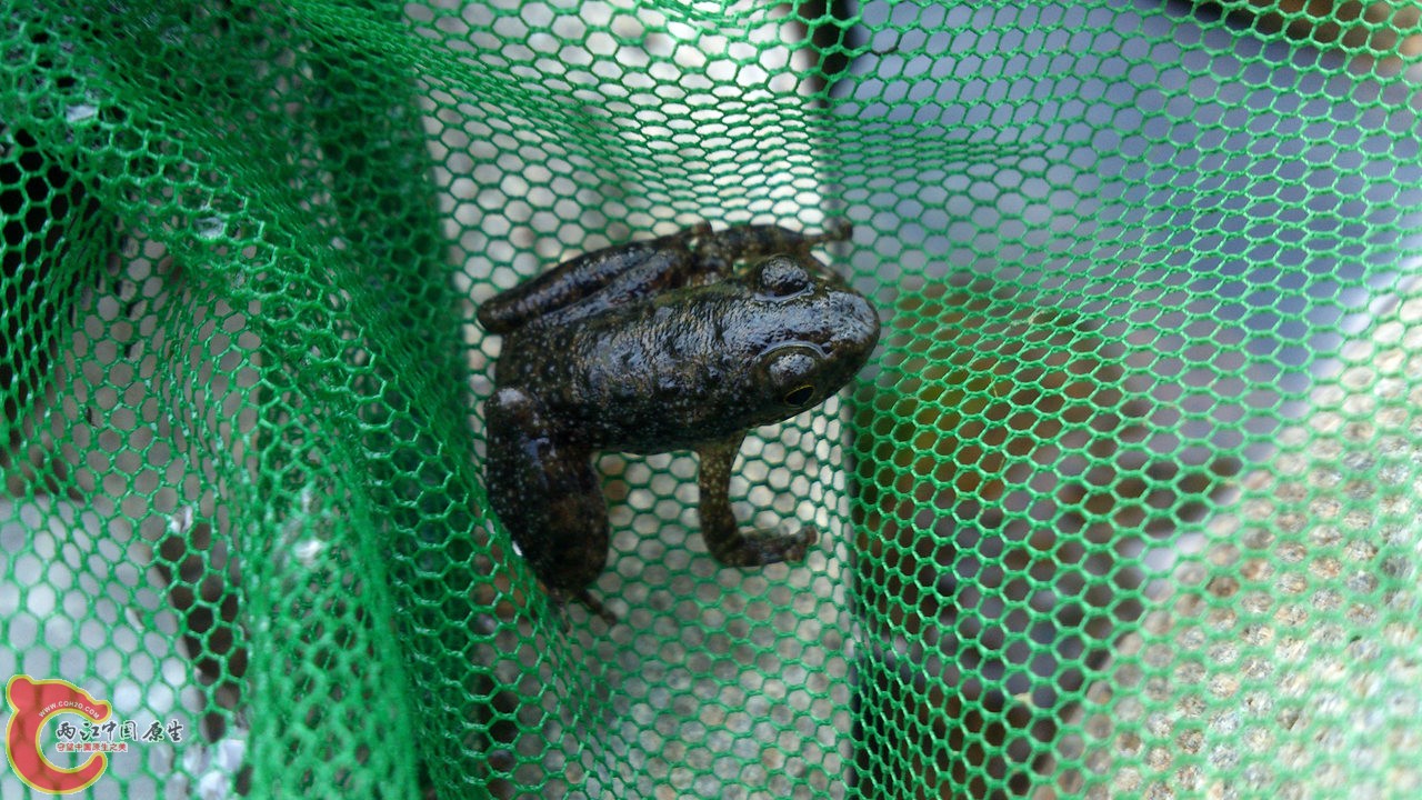 DSC_0527_副本.jpg