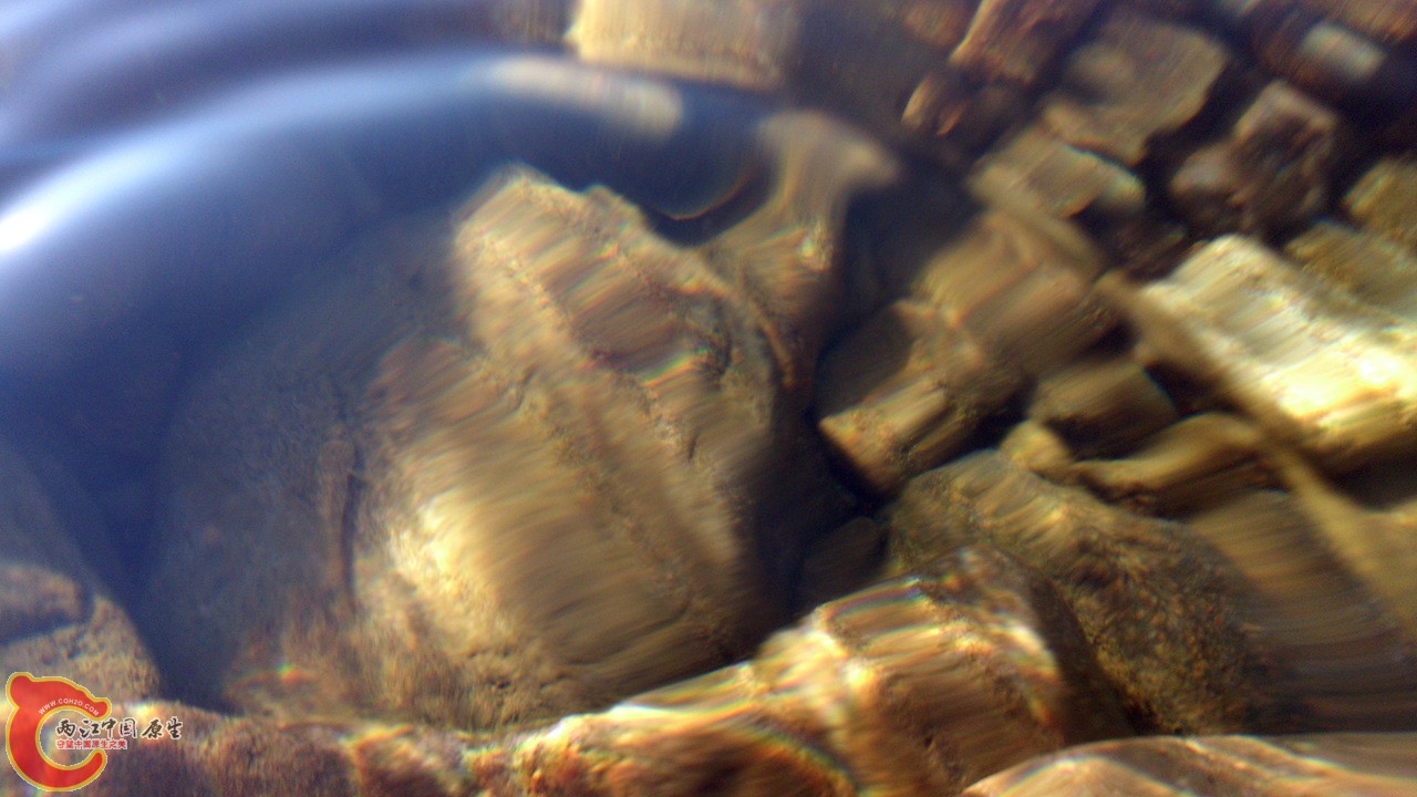 DSC_0541_副本.jpg