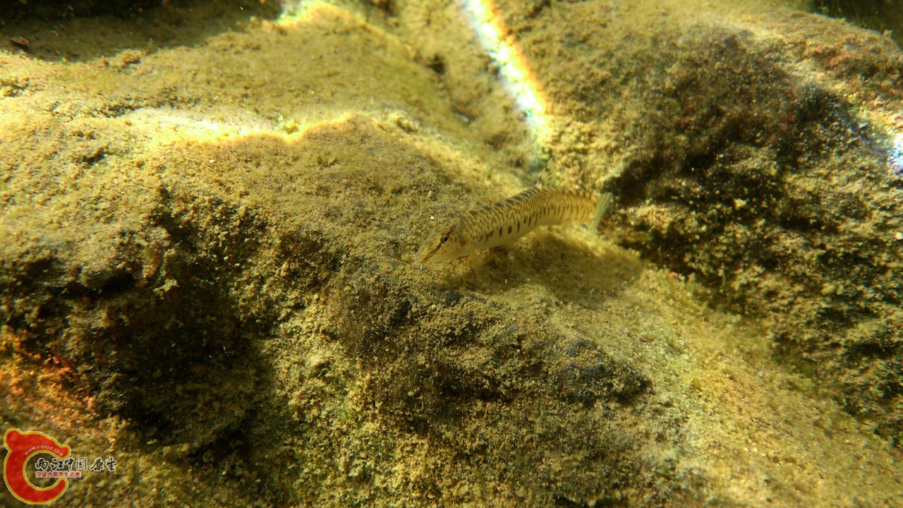 DSC_0553_副本.jpg