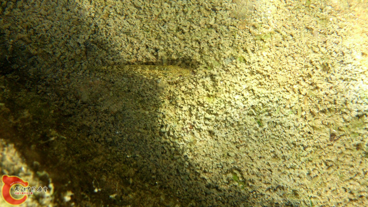 DSC_0554_副本.jpg