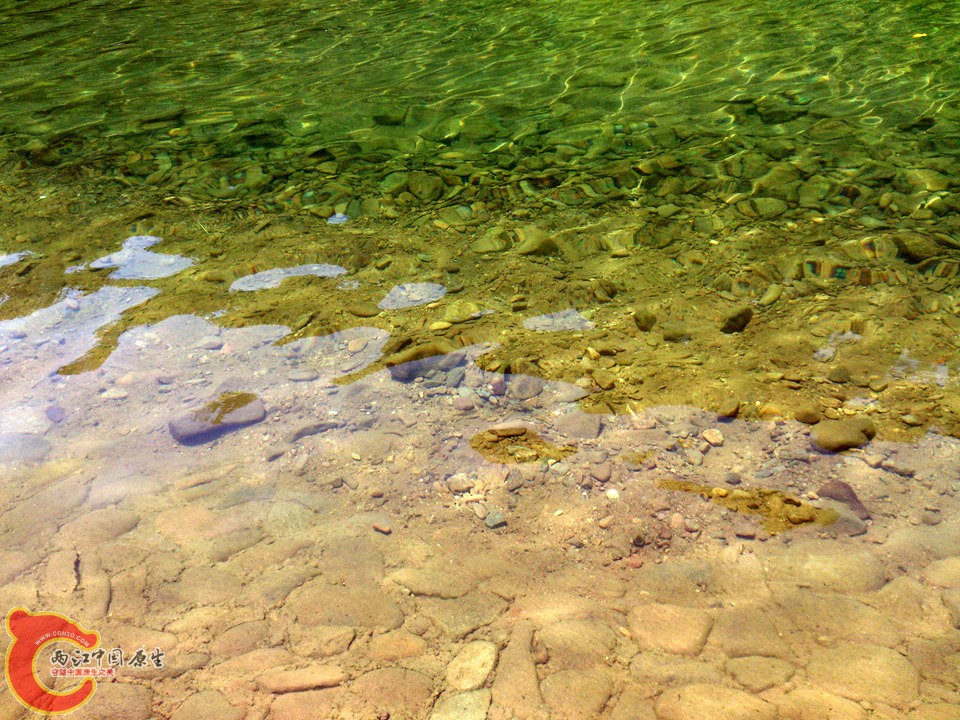 DSC_0576_副本.jpg