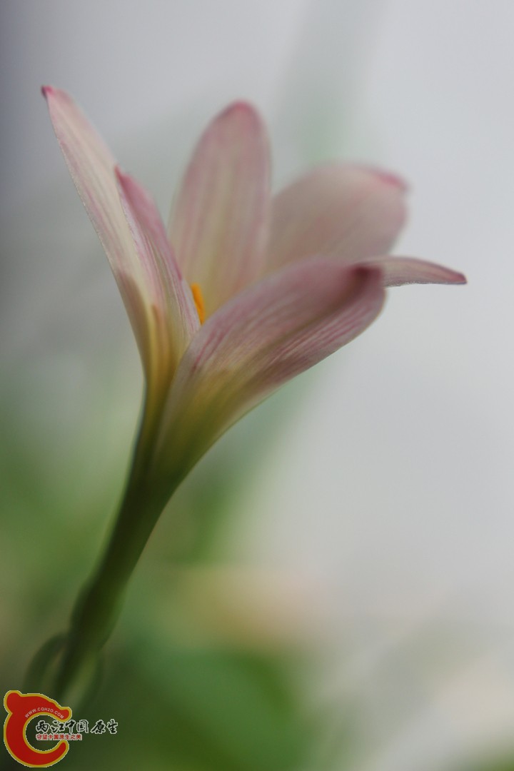 IMG_9668_副本.jpg
