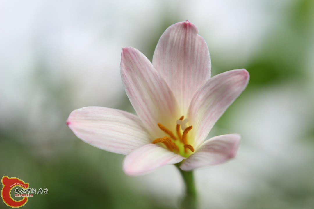 IMG_9660_副本.jpg