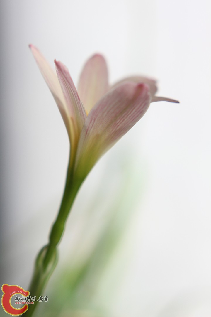 IMG_9661_副本.jpg