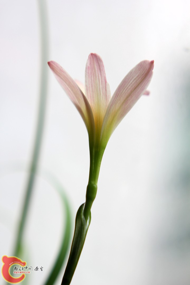 IMG_9664_副本.jpg