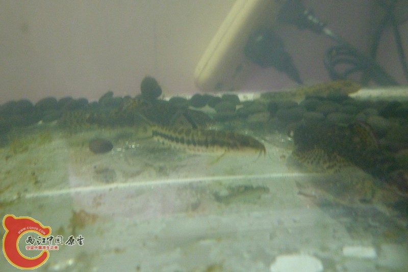 P1020979_副本.jpg