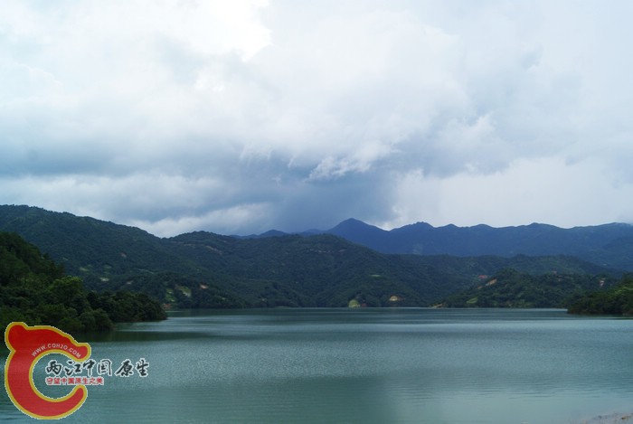 DSC08847.jpg