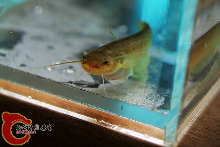 DSC08886.jpg