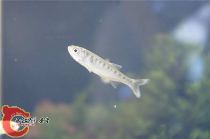 _DSC9302.jpg