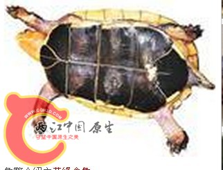 QQ截图20130805220315.jpg