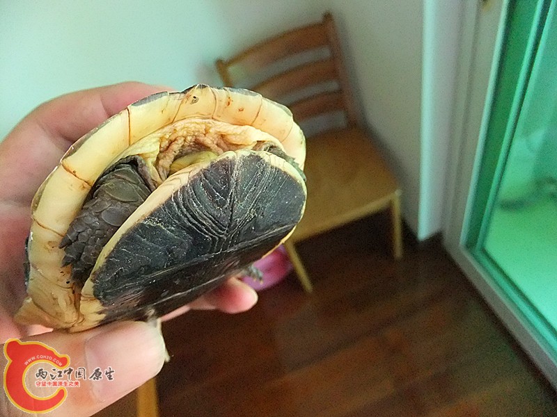 DSCF7195.JPG