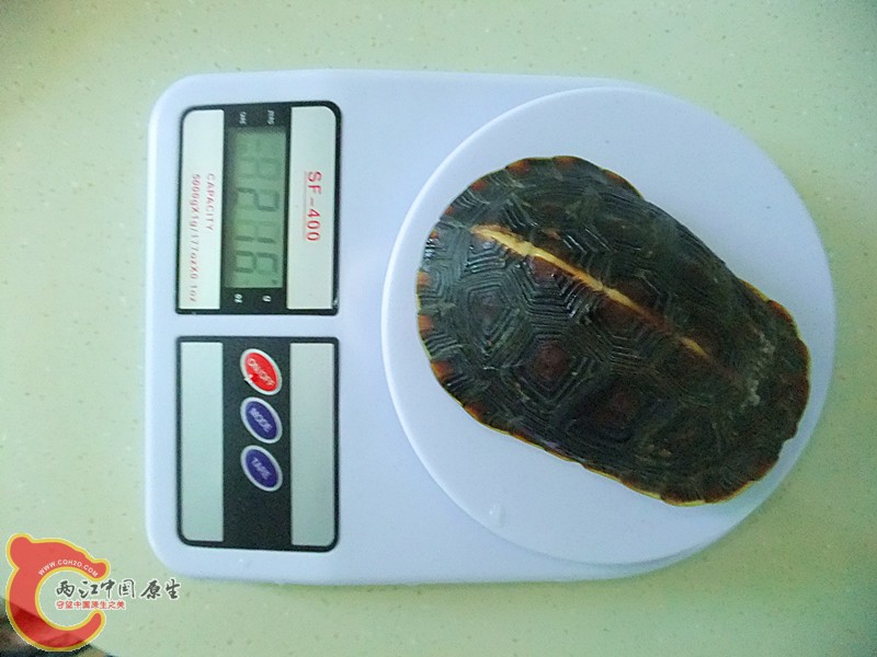 DSCF7197.JPG