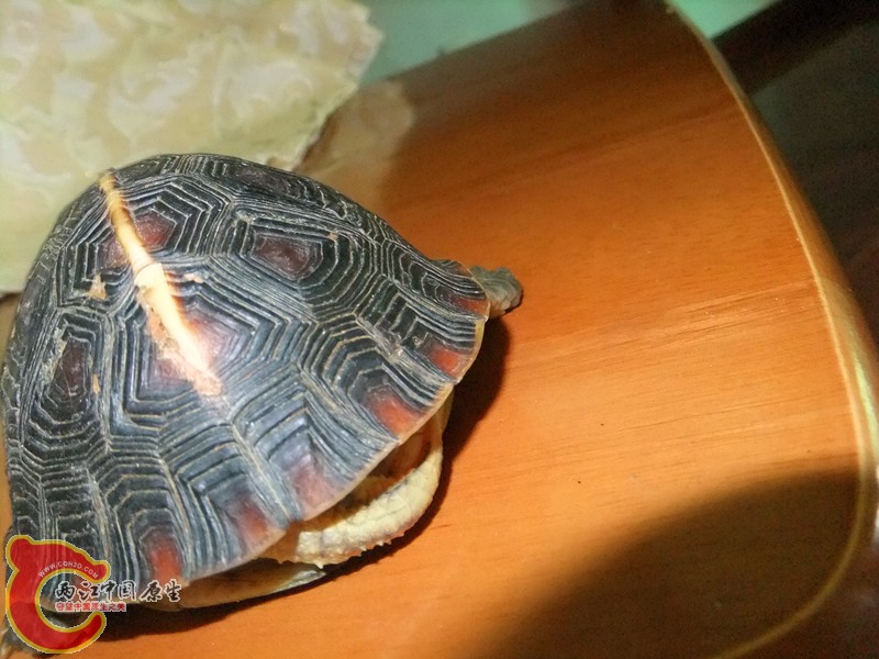 DSCF7208.JPG