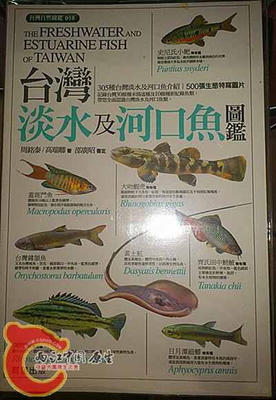 DSC_0509_副本.jpg
