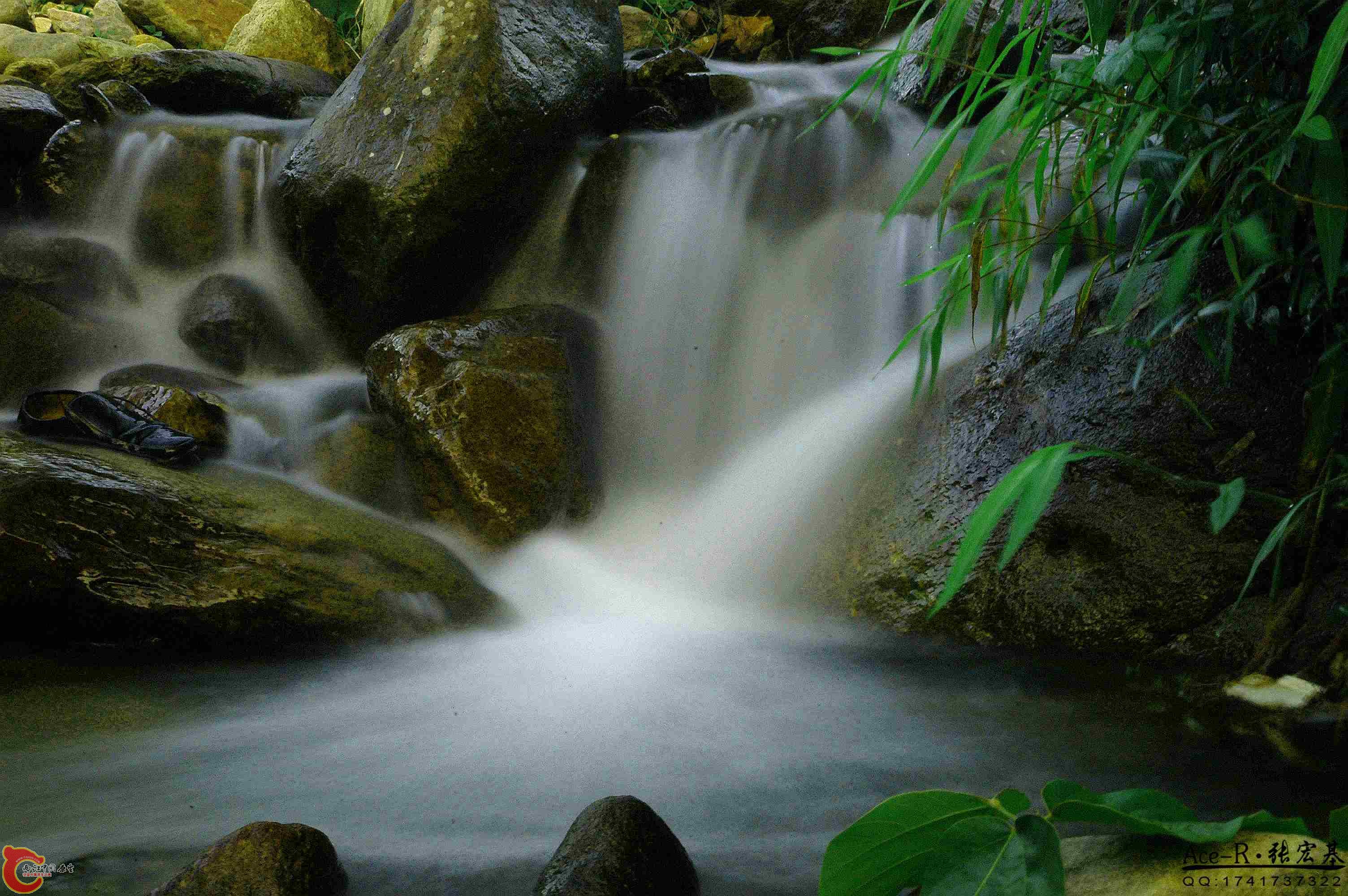 DSC_2041_副本_副本.jpg