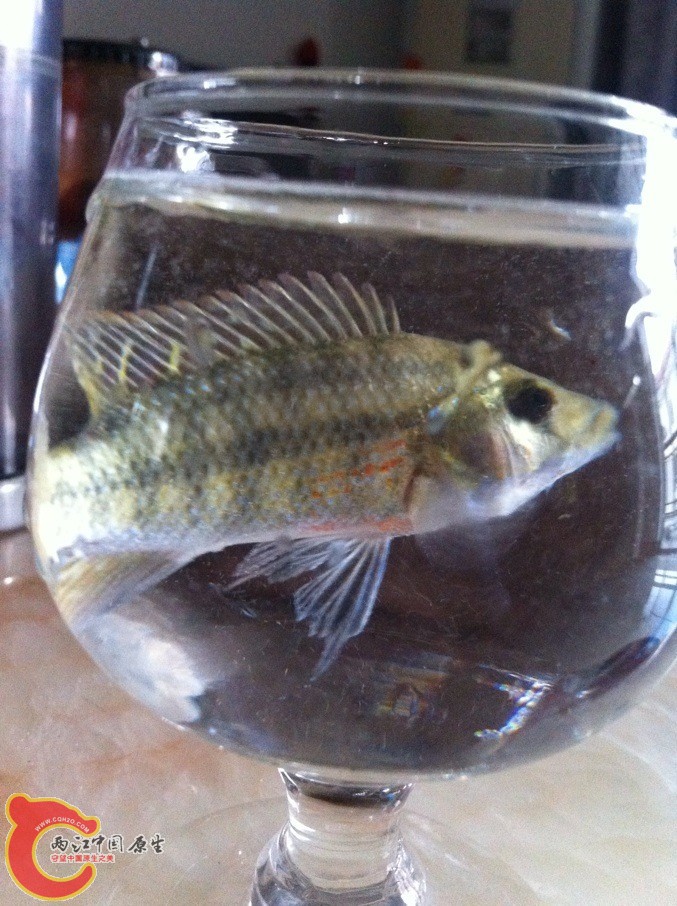 QQ图片20130808183633.jpg