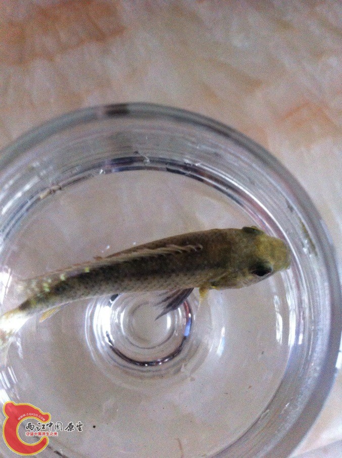 QQ图片20130808183644.jpg