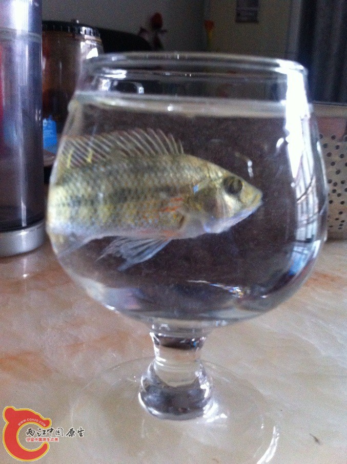 QQ图片20130808183651.jpg