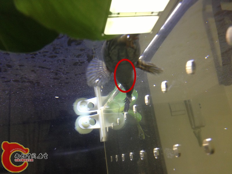 照片 047_副本.jpg