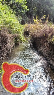 IMG_20130810_162439.jpg