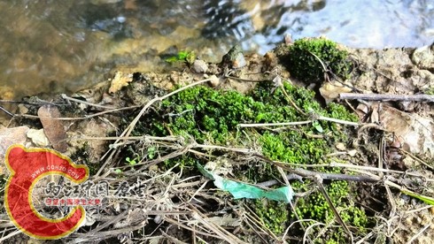 IMG_20130810_163226.jpg