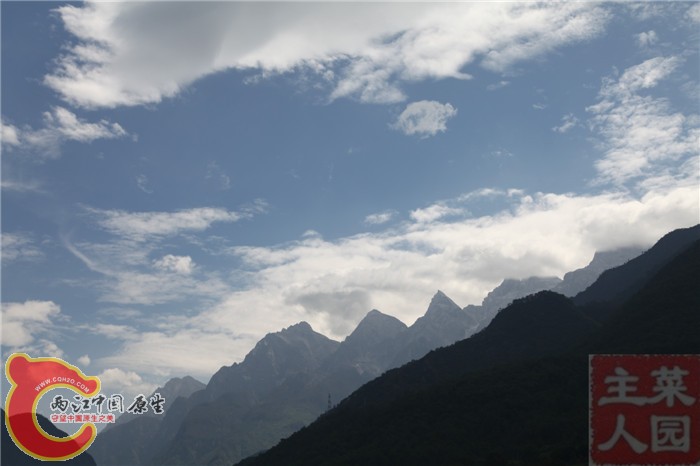 06.jpg