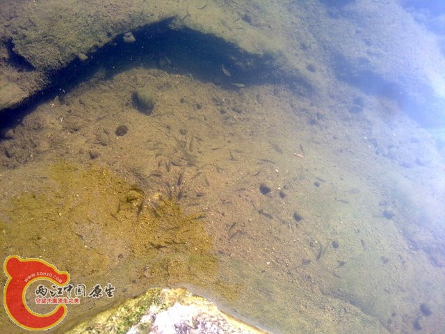 201301012099.jpg