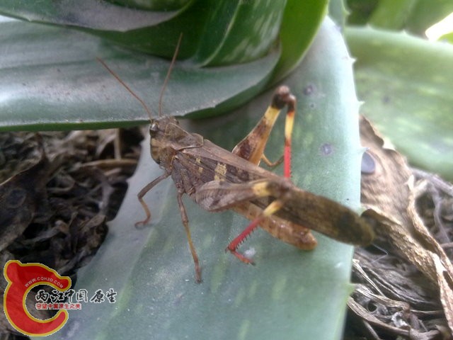 201301022128.jpg