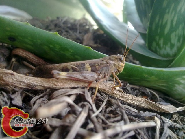 201301022126.jpg