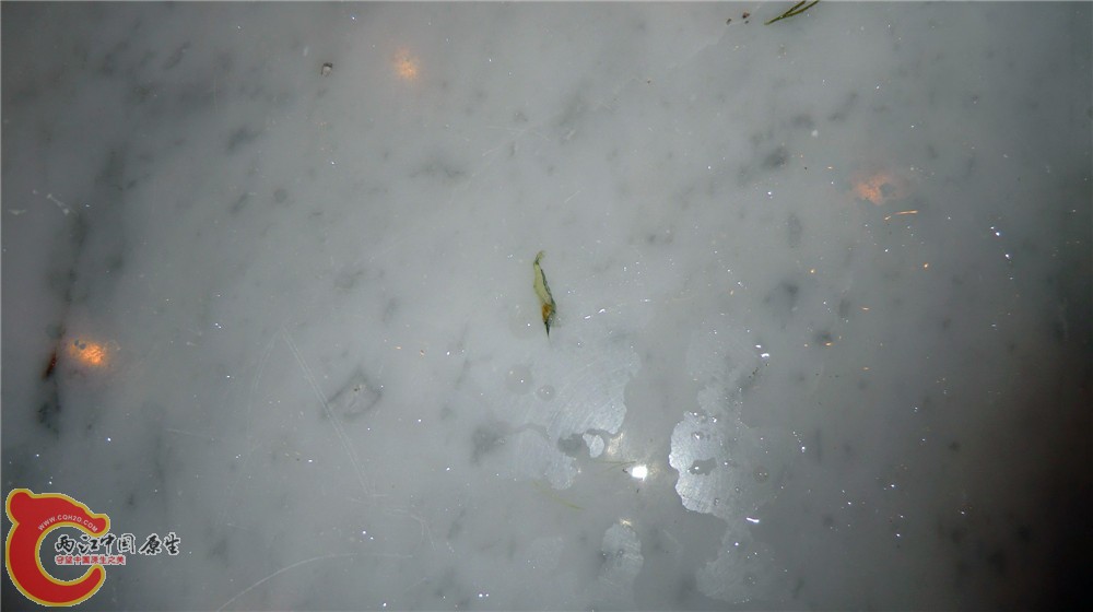 CIMG4983_副本.jpg