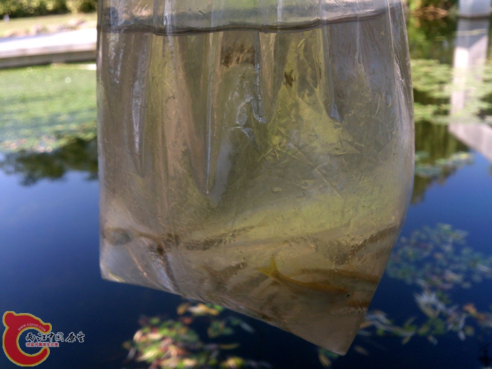 DSC_0340_副本.jpg