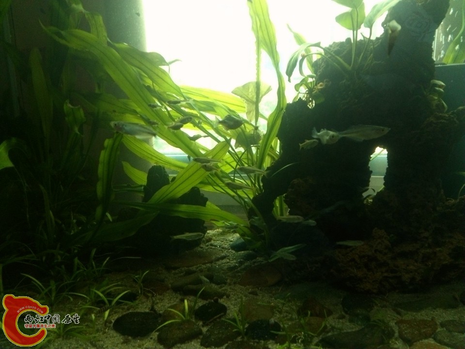 DSC_0381_副本.jpg