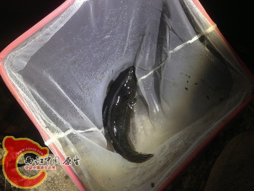 调整大小 调整大小 IMG_0447.jpg