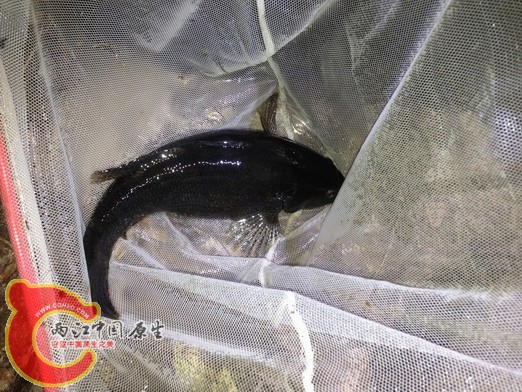 调整大小 调整大小 IMG_0451.jpg