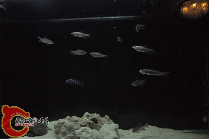 DSC_1360.JPG