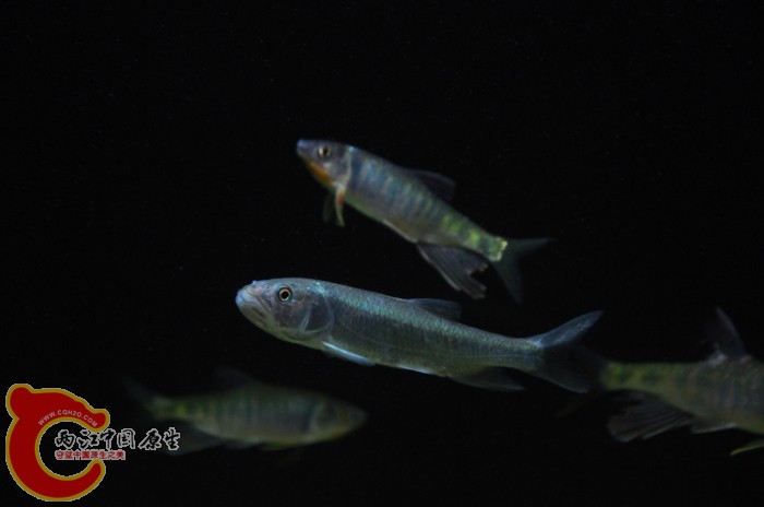 DSC_1369.JPG