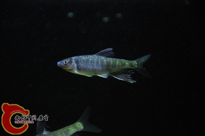 DSC_1376.JPG