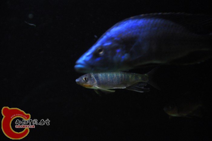 DSC_1380.JPG