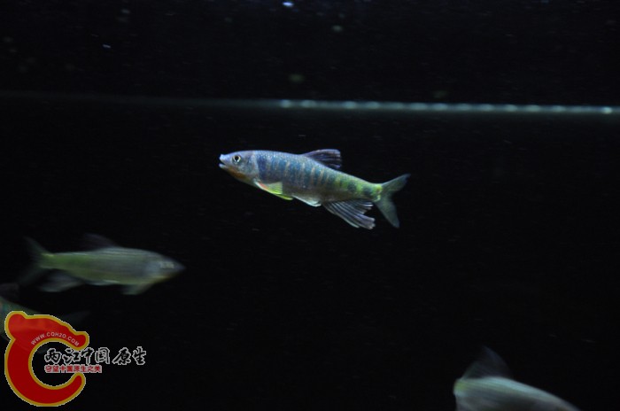 DSC_1393.JPG