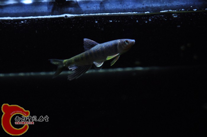 DSC_1409.JPG