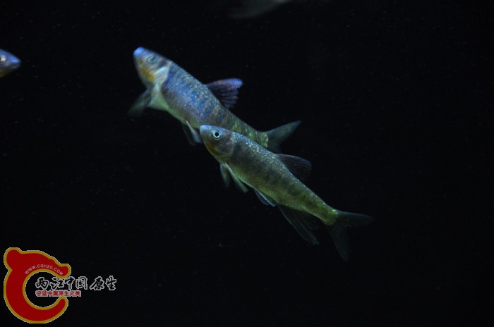 DSC_1419.JPG