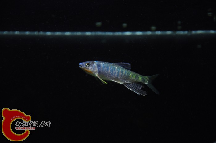 DSC_1424.JPG