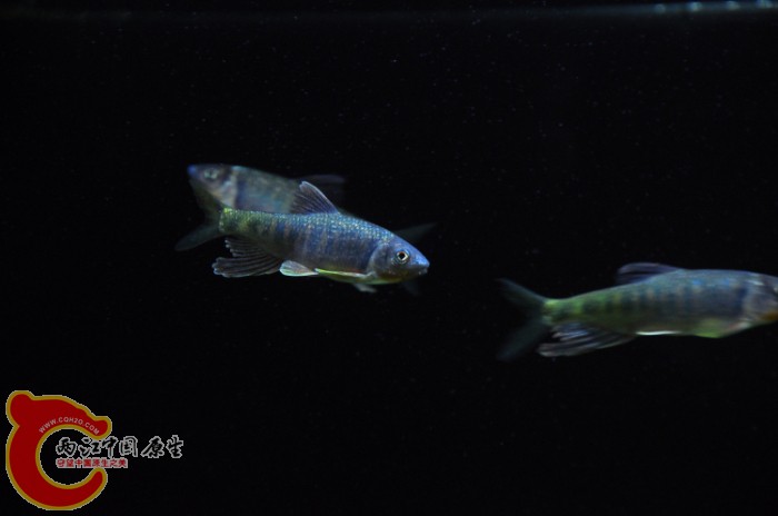 DSC_1438.JPG