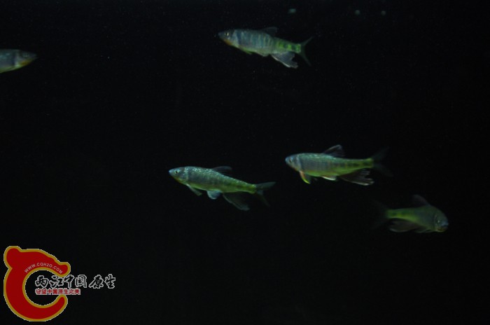DSC_1442.JPG