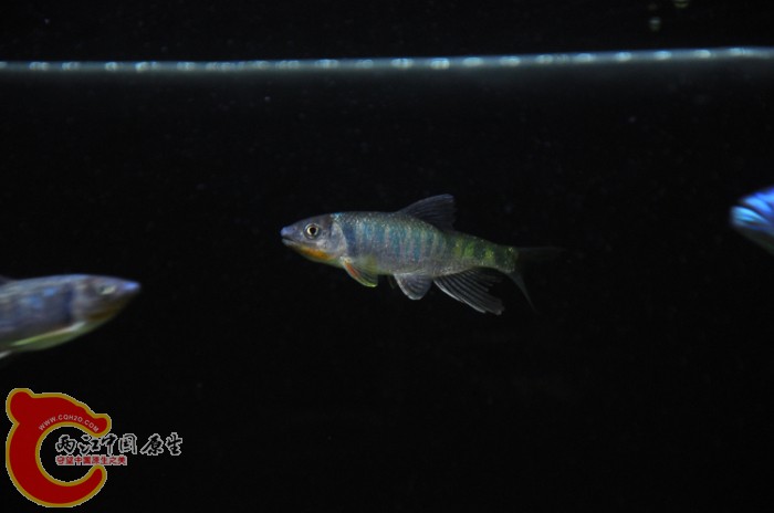 DSC_1444.JPG
