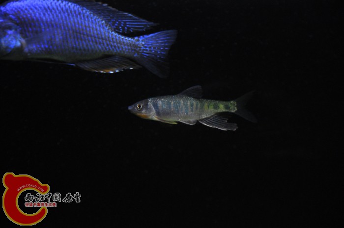 DSC_1445.JPG