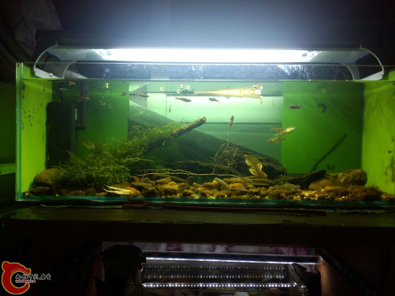 20130818151350.jpg