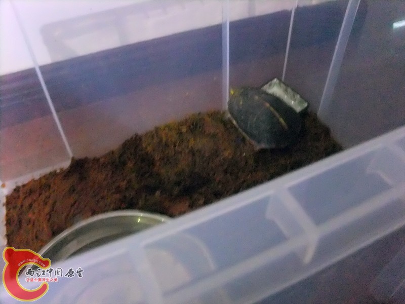 DSCF7262.JPG