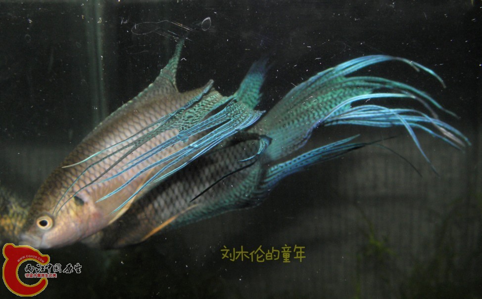 QQ图片20130705150856.jpg