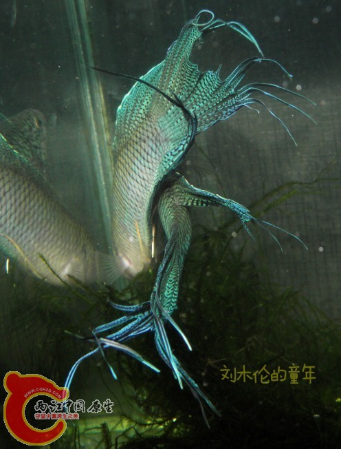 QQ图片20130705151028.jpg